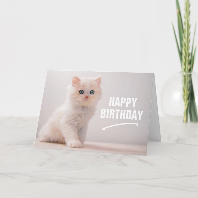 Happy Birthday | Blue Eye Kitten Card (Front)