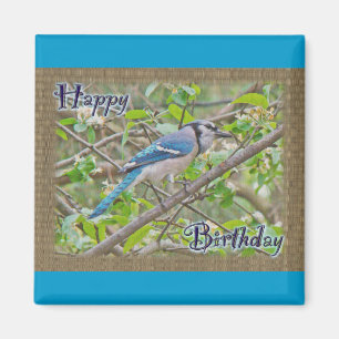 Happy Birthday Blue Jay Magnet