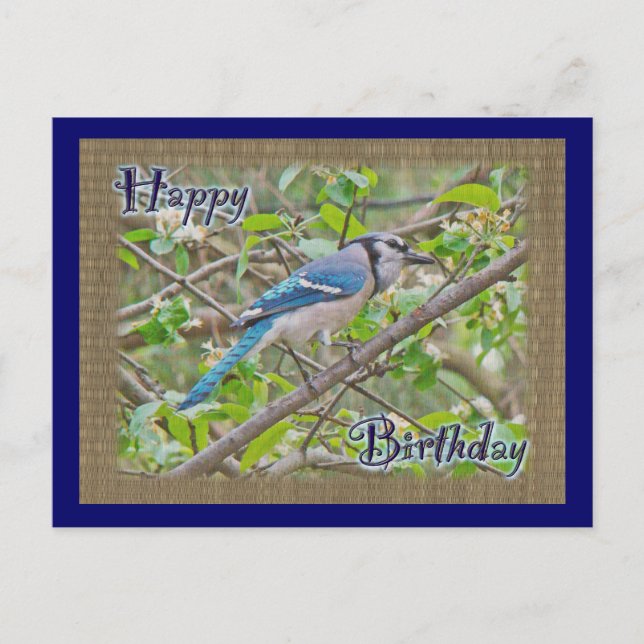 Happy Birthday Blue Jay Postcard (Front)