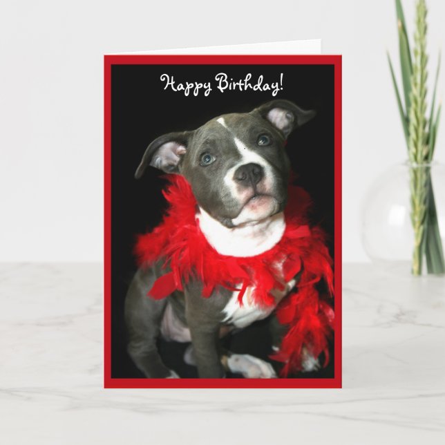 Happy Birthday Blue Pitbull Puppy greeting card (Front)