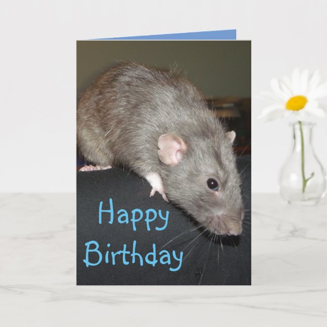 Happy Birthday! Blue rat Card (Small Plant)