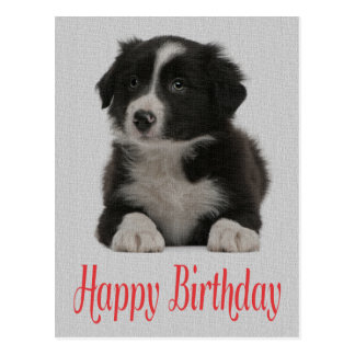 Black And White Birthday Greeting Postcards, Black And White Birthday ...