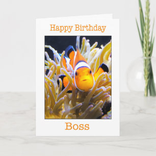 Happy Birthday Boss Clown Fish Card