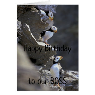 Happy Birthday Boss Cute Puffin Birds Animal Humou