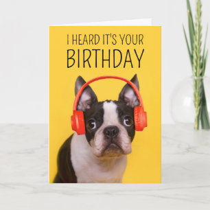 Happy Birthday   Boston Terrier Card