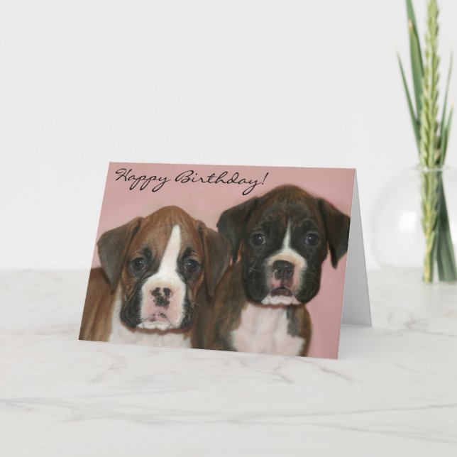 Happy Birthday Boxer Puppies greeting card (Front)