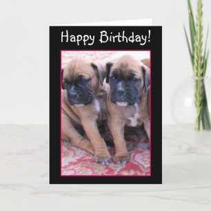 Happy Birthday Boxer puppies greeting card