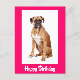 Happy Birthday Boxer Puppy Dog Postcard