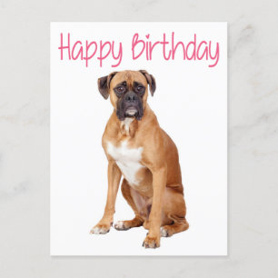 Happy Birthday Boxer Puppy Dog Postcard