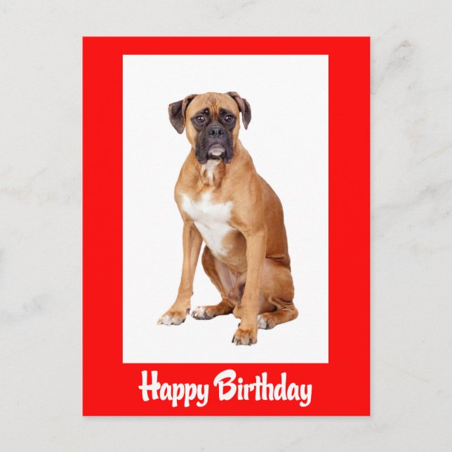 Happy Birthday Boxer Puppy Dog Red Postcard (Front)