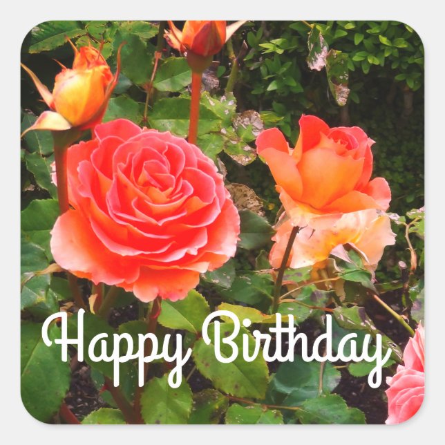 Happy Birthday Brass Band Rose #1-1 Stickers (Front)