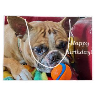 Happy Birthday Brindle Bostyon Terrier Large Gift Bag