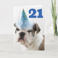 Happy Birthday | British Bulldog Puppy