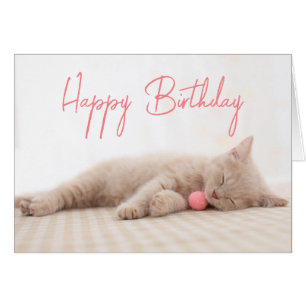 Happy Birthday   British Shorthair Cat