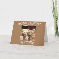 **HAPPY BIRTHDAY BROTHER** FROM CUTE ALPACAS CARD