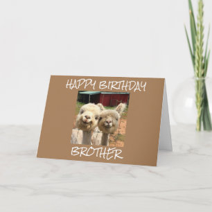 **HAPPY BIRTHDAY BROTHER** FROM CUTE ALPACAS CARD