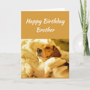 Happy Birthday Brother Funny Animals Card