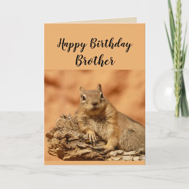 Happy Birthday Brother Funny Squirrel Humour Card (Front)