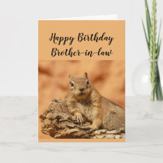 Happy Birthday Brother-in-law Funny Squirrel Relax Card