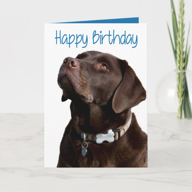 Happy Birthday Brown Labrador Retriever Puppy Card (Front)
