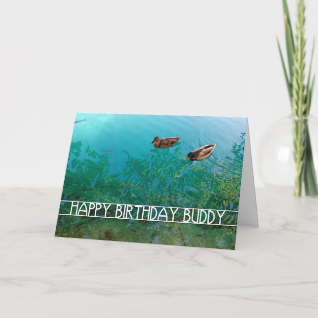 happy birthday buddy (two ducks) card (Front)