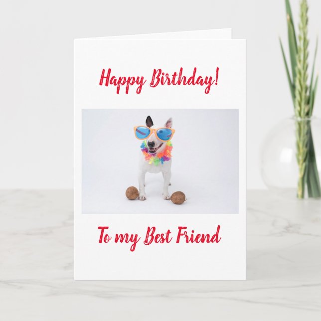 Happy Birthday Bull Terrier with Coconuts Card (Front)