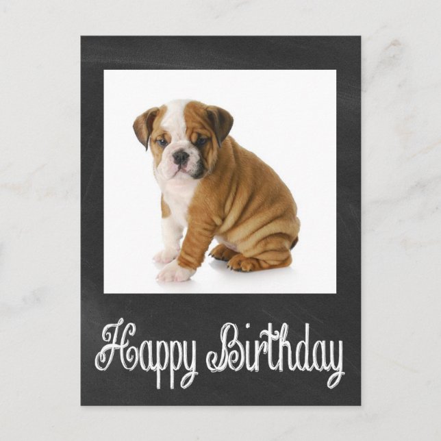 Happy Birthday Bulldog Puppy Chalkboard Postcard (Front)
