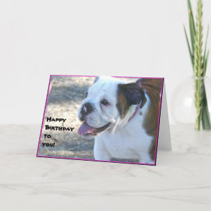 Happy Birthday bulldog puppy greeting card