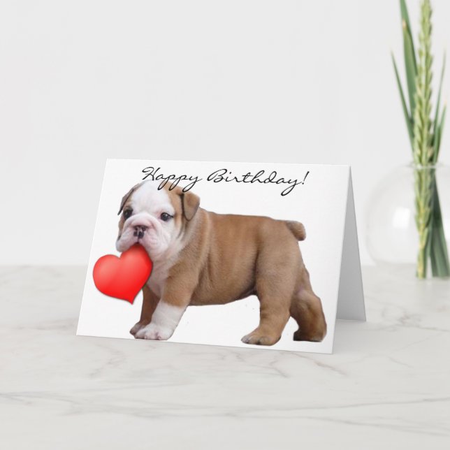 Happy Birthday  Bulldog puppy greeting card (Front)