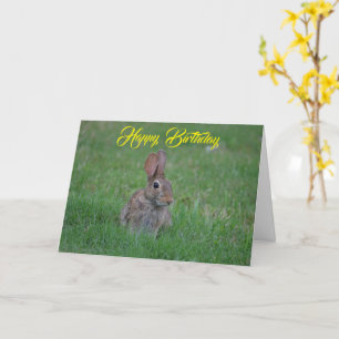 Happy Birthday Bunny Card