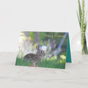 Happy Birthday Bunny Card