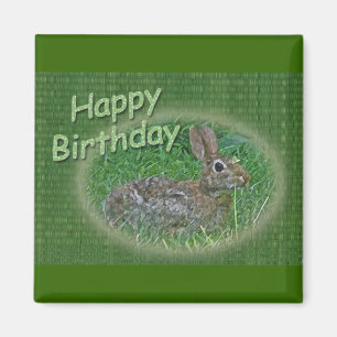 Happy Birthday Bunny Rabbit Cordinating Items Magnet