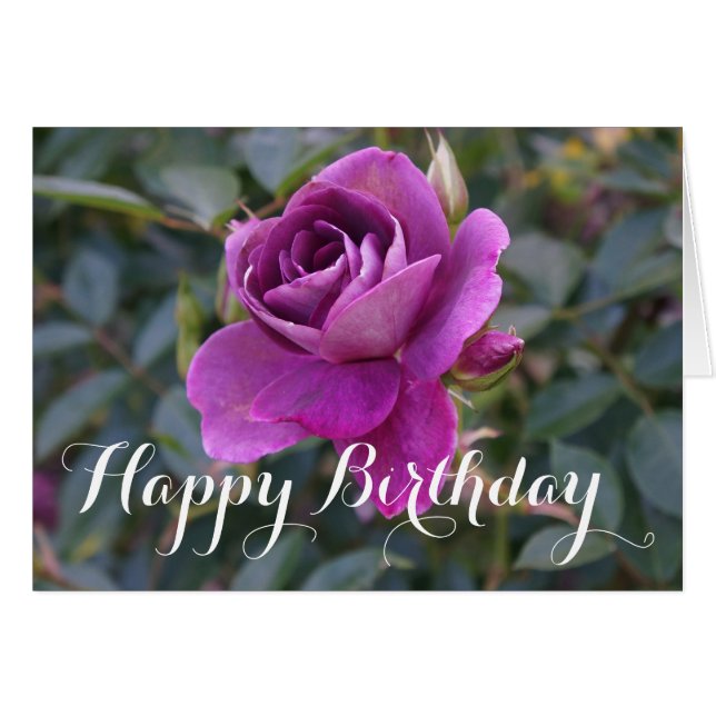 Happy Birthday Burgundy Iceberg Rose #2 Card (Front Horizontal)