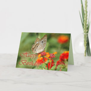 Happy Birthday Butterfly Card