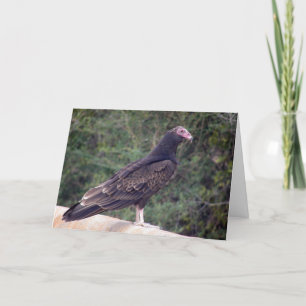 Happy Birthday - Buzzard Card