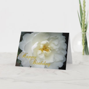 Happy Birthday Camellia Card