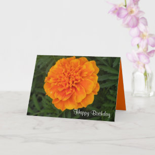 Happy Birthday Card