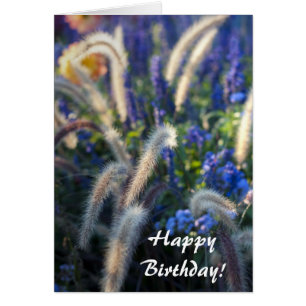 Happy Birthday Card