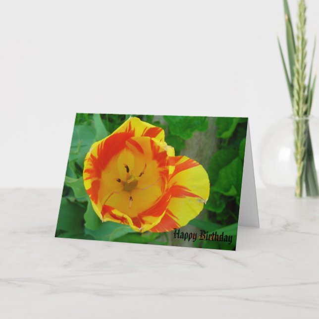 Happy Birthday Card (Front)