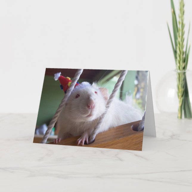 Happy Birthday Card (Front)