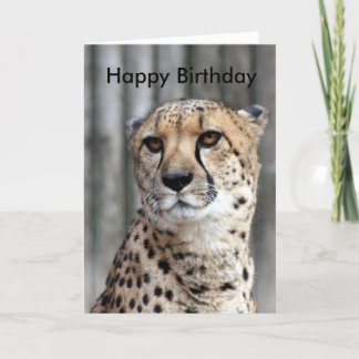 Happy Birthday Card