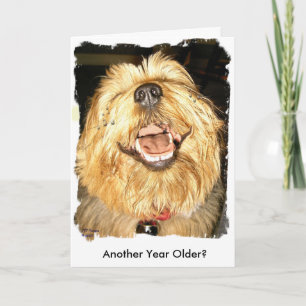 Happy Birthday Card