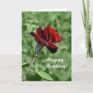 Happy Birthday Card