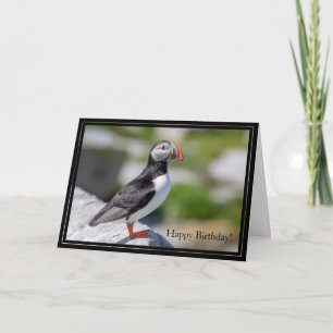 Happy Birthday Card Atlantic Puffin