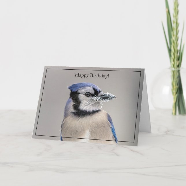 Happy Birthday Card Blue Jay (Front)