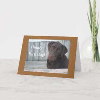 Happy Birthday Card - Chocolate Lab