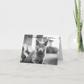 Happy Birthday Card: Grey Cat Card