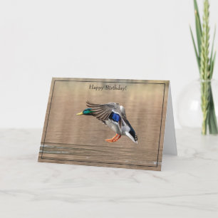 Happy Birthday Card Mallard Duck