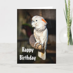 Happy Birthday card Moluccan cockatoo