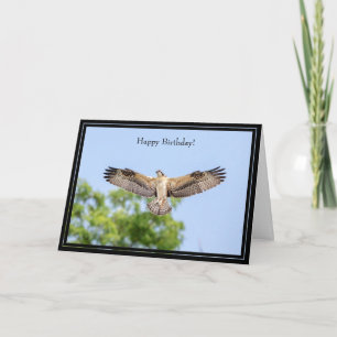 Happy Birthday Card Osprey